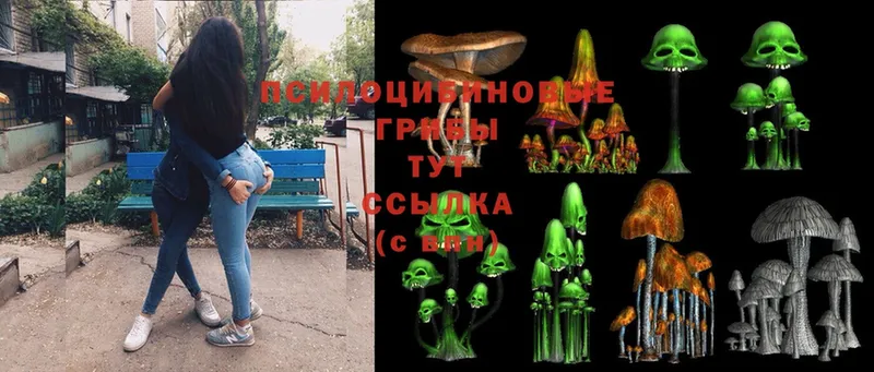 Псилоцибиновые грибы Psilocybine cubensis  купить наркотик  Дубна 